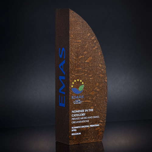 Nomination aux EMAS Awards 2019