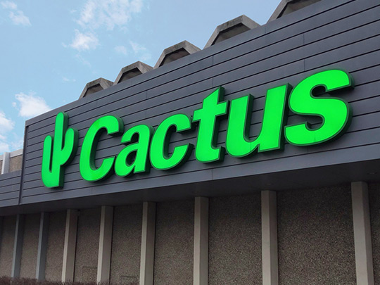 Lettres boitiers LED grand format du magasin Cactus
